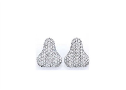 Rhodium Plated | Fashion Earrings